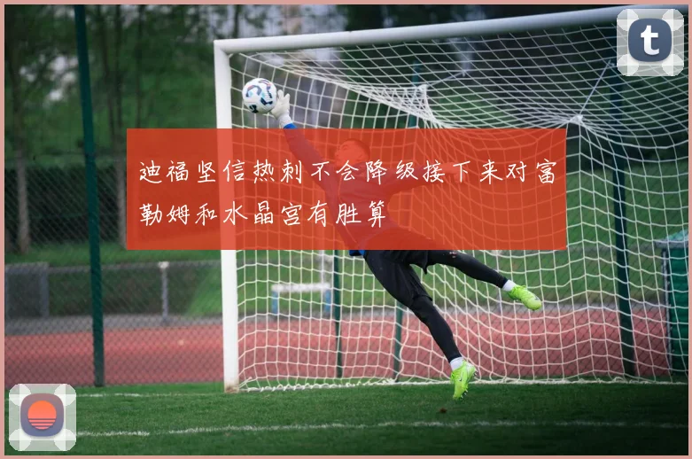 迪福坚信热刺不会降级接下来对富勒姆和水晶宫有胜算