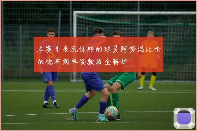 本赛季表现惊艳的球员阿努诺比伦纳德布朗单场数据全解析